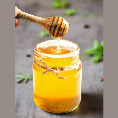 Grass-Fed Tallow and Honey Healing Salve